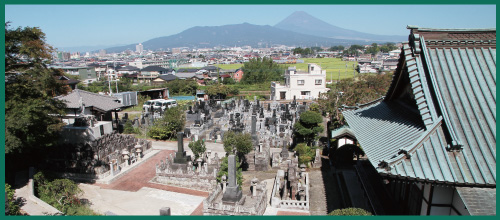 �����S�i